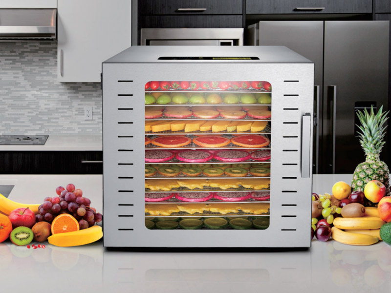12 Trays Dehydrator for Fruits - Dehydrator Tray Electric ulasan dan harga